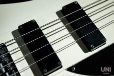 ESP Custom order TB Type bass_5