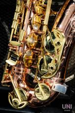 Buffet Crampon Senzo_4