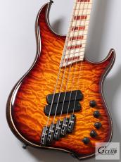 DINGWALL Z2 5st / Quilt Maple Top【重量4.12kg】