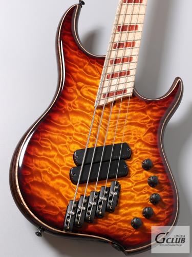 DINGWALL Z2 5st / Quilt Maple Top【重量4.12kg】