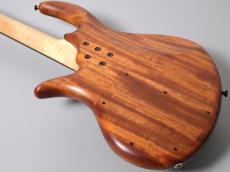 elrick Gold Series E-volution 4st Fretless -Striped Ebony-【4.04kg】【USED】_8
