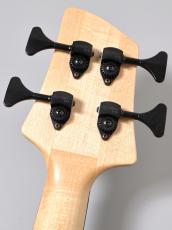 elrick Gold Series E-volution 4st Fretless -Striped Ebony-【4.04kg】【USED】_10
