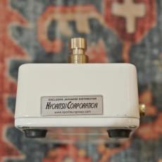Electro-Harmonix Canyon 【中古品】_5