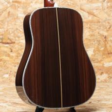 Martin D-45 2009_2