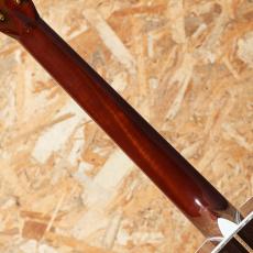 Martin D-45 2009_7