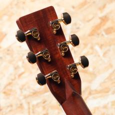 Martin D-45 2009_9