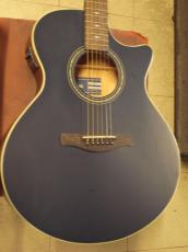 Ibanez AE-100