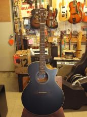 Ibanez AE-100_2