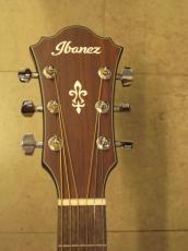Ibanez AE-100_5