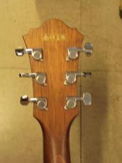 Ibanez AE-100_6