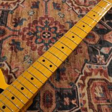 Fender Limited Edition Road Worn '50s Telecaster, Maple Fingerboard, Butterscotch Blonde_5