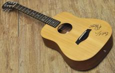 Taylor BT-1