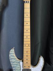 SCHECTER SD-2-24-AS mod_5
