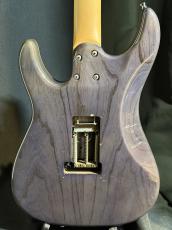 SCHECTER SD-2-24-AS mod_7