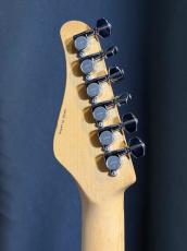 SCHECTER SD-2-24-AS mod_10