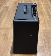 Fender Blues Junior III_5