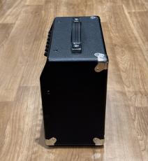 Fender Champion 20_4