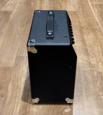 Fender Champion 20_5