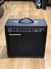 Guyatone FLIP200FJ_2