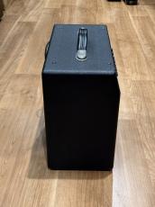 Guyatone FLIP200FJ_5