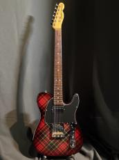 Fender Japan TL71 Mod_2