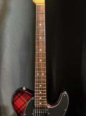 Fender Japan TL71 Mod_3
