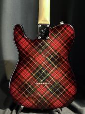 Fender Japan TL71 Mod_5