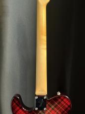 Fender Japan TL71 Mod_7