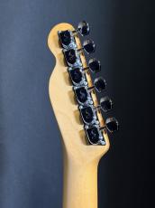 Fender Japan TL71 Mod_8