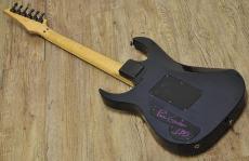 Ibanez PGM100_2