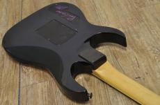 Ibanez PGM100_9