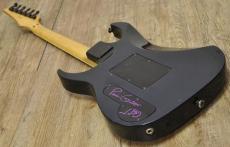 Ibanez PGM100_10