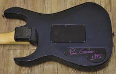 Ibanez PGM100_11