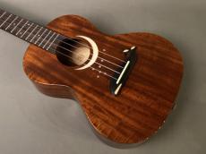 TODO MUSIC UTD-W50T Tenor