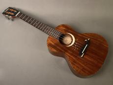 TODO MUSIC UTD-W50T Tenor_2