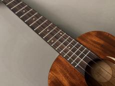 TODO MUSIC UTD-W50T Tenor_5