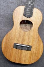 KoAloha KCM-10/UPT Pikake 【コンサート】【サテン仕上げ】【現物写真】【池袋店在庫品】