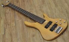 Washburn XB-600