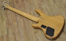 Washburn XB-600_2