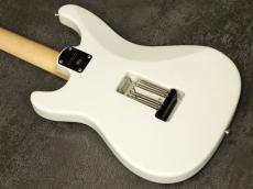 Paul Reed Smith [PRS] Silver Sky Maple Frost 2021_9