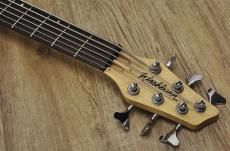 Washburn XB-600_4