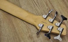 Washburn XB-600_5