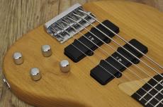 Washburn XB-600_8