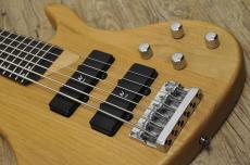 Washburn XB-600_9