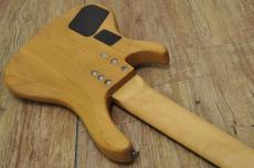 Washburn XB-600_11