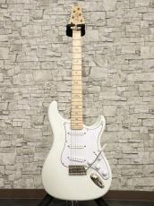 Paul Reed Smith [PRS] Silver Sky Maple Frost 2021_15
