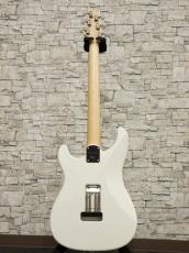 Paul Reed Smith [PRS] Silver Sky Maple Frost 2021_16