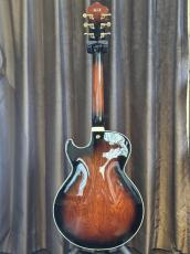 Ibanez AG95QA_2