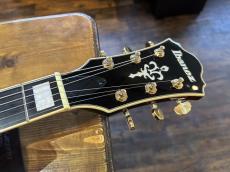 Ibanez AG95QA_7