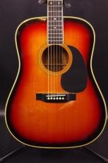 Martin D-35
